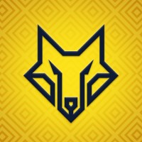 The Design Wolf logo - Similar company to Design Systems Community