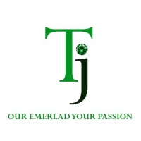 Trillion Jewels Pvt. Ltd. logo - Similar company to Luxarc