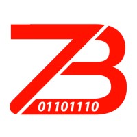 Zettabyte logo - Similar company to Tcg-Tech, Llc