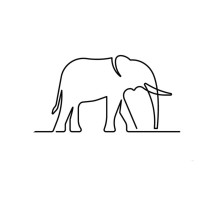 How Many Elephants - International NGO logo - Similar company to Freeland Foundation