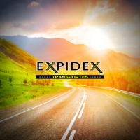 Expidex Transportes e Armazenagem - Solução Rápida e Segura logo - Similar company to Guima Transportes Express