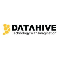 DataHive logo - Similar company to Data Hive Consulting