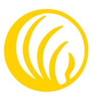 NAMI Charlotte logo - Similar company to Hopeway
