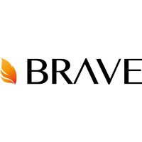 Brave Career logo - Similar company to Dankore Software