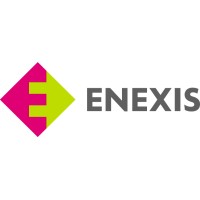EXENIS logo - Similar company to Exceenis