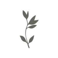 KOKOMA KOZMETİK A.Ş logo - Similar company to Sabunaria | Msa Kozmetik San. Ve Tic. Ltd. Şti