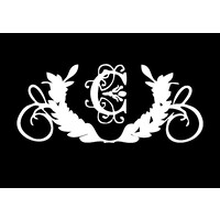 Colosseum Mithibai logo - Similar company to Mithibai Techspark