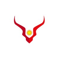 VIGI VENTURES logo - Similar company to Tawanai