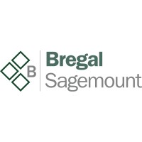 Bregal Sagemount logo - Similar company to Scorpion