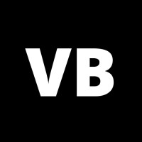 VolleyBrains.com logo - Similar company to Let'S Keep The Ball Flying
