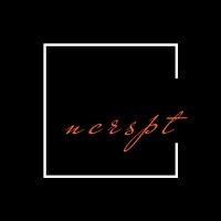 ncrspt logo - Similar company to Blackpixel