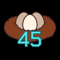 Clutch45 logo - Similar company to ⚡Wirespeed