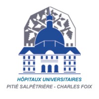 Hôpitaux Universitaires Pitié Salpêtrière - Charles Foix (APHP) logo - Similar company to Greater Paris University Hospitals - Ap-Hp