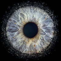 Eyedolise logo - Similar company to Orpington 1St