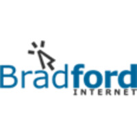 Bradford Internet India Pvt. Ltd. logo - Similar company to Gt Informatics