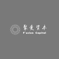 聚变资本 FUSION CAPITAL logo - Similar company to Dne Group