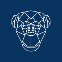 Blue Monkey Consulting logo - Similar company to Blue Monkeys