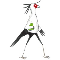 De Secretarisvogel logo - Similar company to Wsv Keizer Boven West