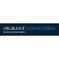 Digilent Consulting, LLC logo - Similar company to Digilent.Io