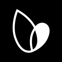 Joy Wellness logo - Similar company to Drive Test Help