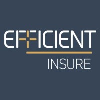 Efficient Insure logo - Similar company to Efficient Wealth (Pty) Ltd