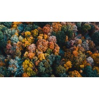 Background Music- Chillout logo - Similar company to Beatdeck
