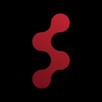 Skynet for telecom and technology logo - Similar company to Zone Technology