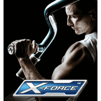X-Force Gym