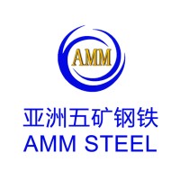 AMM STEEL Co. Ltd. logo - Similar company to Drill Box Tech