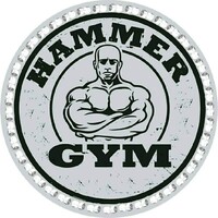 Hammer GYM logo - Similar company to Bangladesh Ansar And Vdp