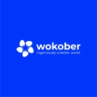 Wokober Education Foundation logo - Similar company to C~Centric Events Ltd