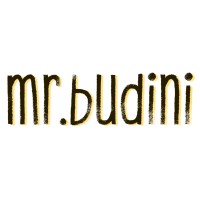 mr.budini Video- und Contentschmiede logo - Similar company to Recapagens Budini