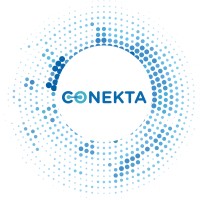 Conekta Consultores logo - Similar company to Connekta