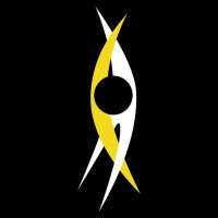 Academy Of Interactive Arts & Sciences Foundation
