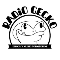 Radio Gecko logo - Similar company to S&G Capital
