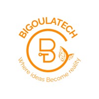 BIGOULA TECH logo - Similar company to Zokatech