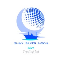 Shiny Silver Moon Trading  Ltd logo - Similar company to Innergate Capital Group, Llc