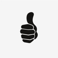 Some Like It Studios logo - Similar company to Your Event Manager, Llc