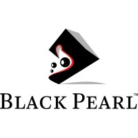 Black Pearl logo - Similar company to Dura Capital