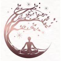 Nosara Springs Retreat and Wellness logo - Similar company to Una Studio