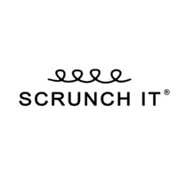 Scrunch It logo - Similar company to Scrunchworks  Private Ltd