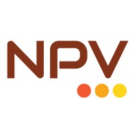 NPV Infinity logo - Similar company to Npv & Associates Llp