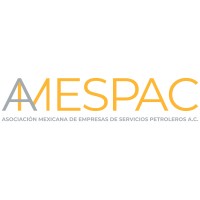 AMESPAC logo - Similar company to Amsca Mx