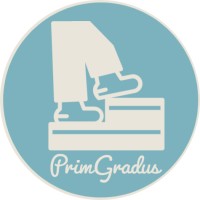 PrimGradus logo - Similar company to Infosynergetics