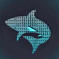 CodeShark Technology logo - Similar company to Journey Online