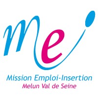 MEI-MVS logo - Similar company to Aziv