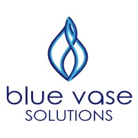 Blue Vase Solutions