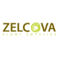 Zelcova Plant Supplies
