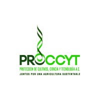 PROCCYT A.C. logo - Similar company to Icica Group- Instituto De Capacitación Internacional En Carga Aérea