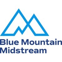 Blue Mountain Midstream logo - Similar company to Intensity Midstream Llc (No Longer In Business)